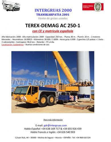 Vendo grua TEREX DEMAG AC 250/1 año 2008 - Imagen 1