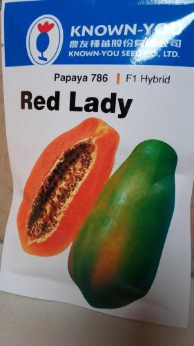 Papaya semillas Hibridas en su empaque origi - Imagen 2