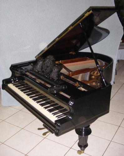 Piano de cola  de cola color negro Es Euro - Imagen 1
