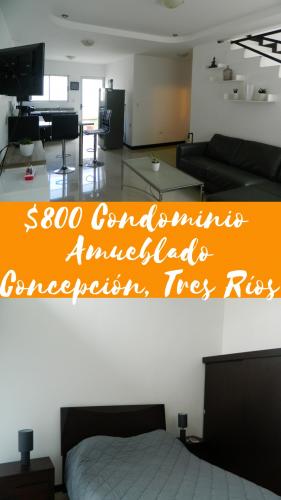 Condominio Amueblado Concepción de Tres Rí - Imagen 1