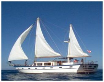 1982 Island trader 46ft sailboat 16 ft wide   - Imagen 2